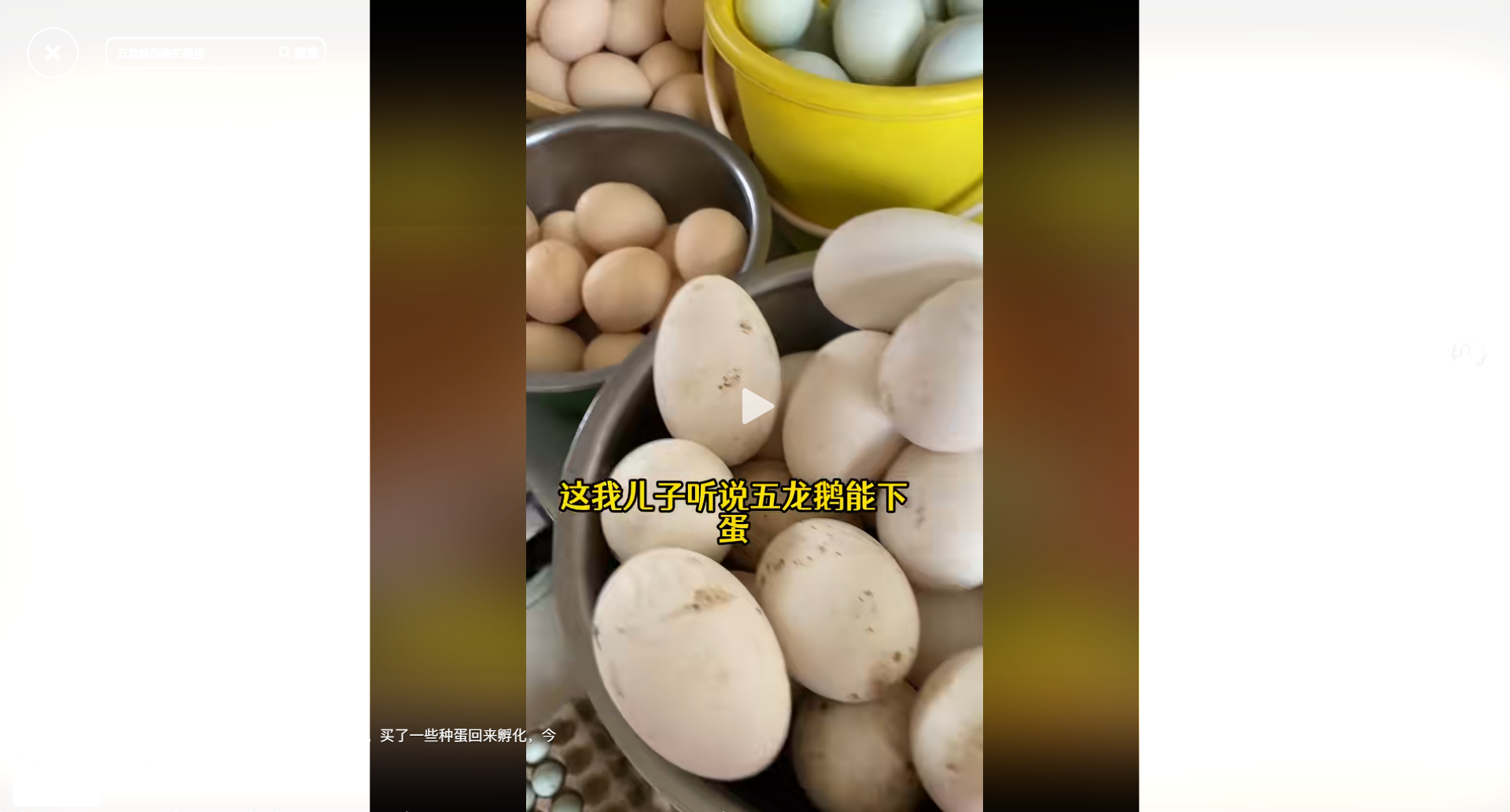 床單上的看不見塵埃